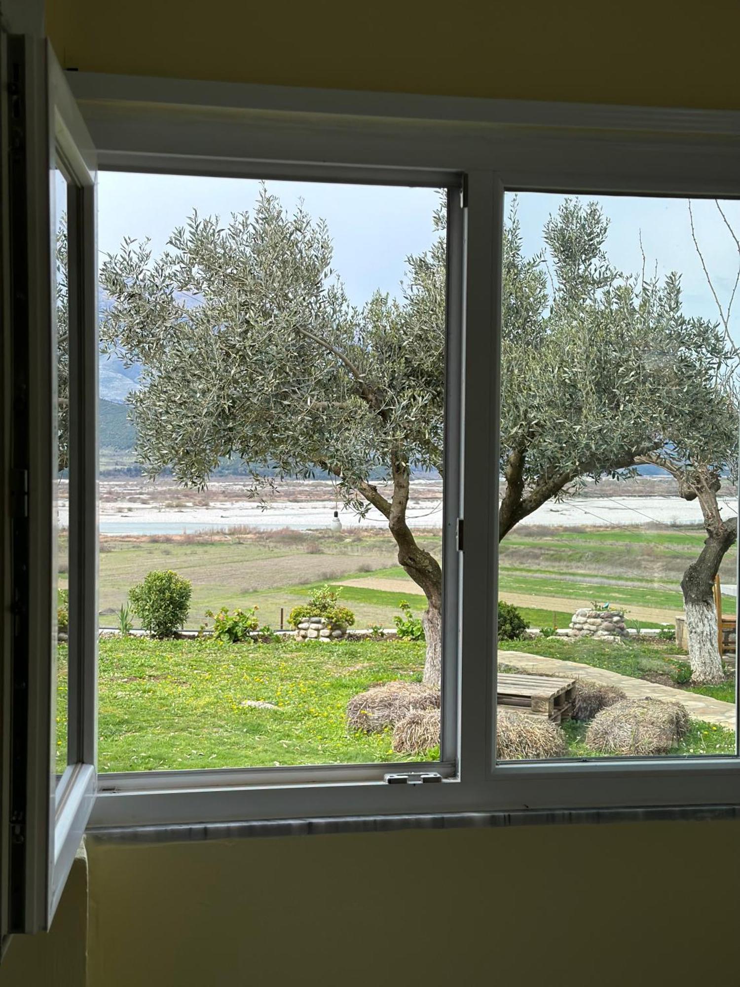 Vjosa Guest House Memaliaj Exterior photo
